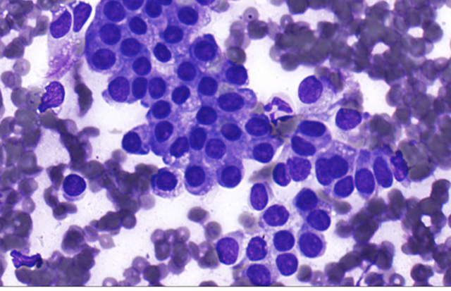 Fig 2