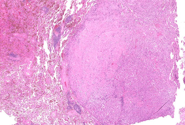 Fig 6