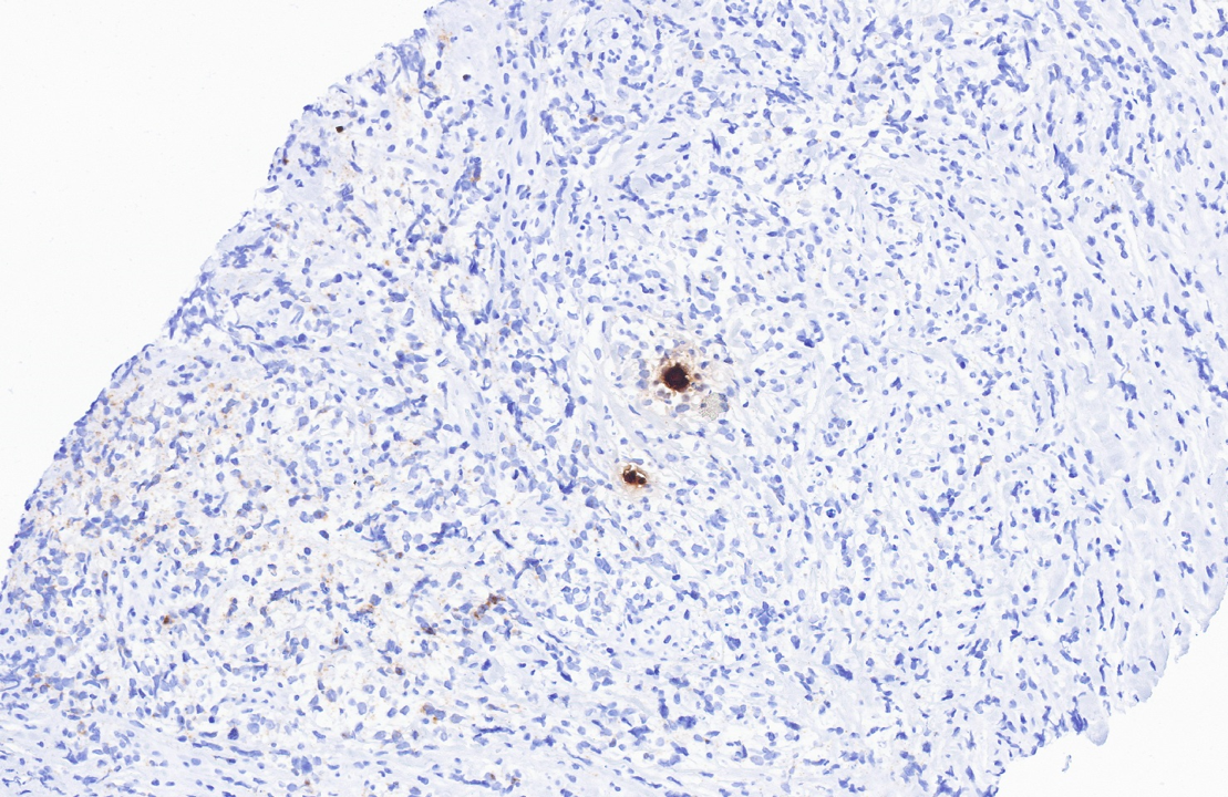 Figure 13