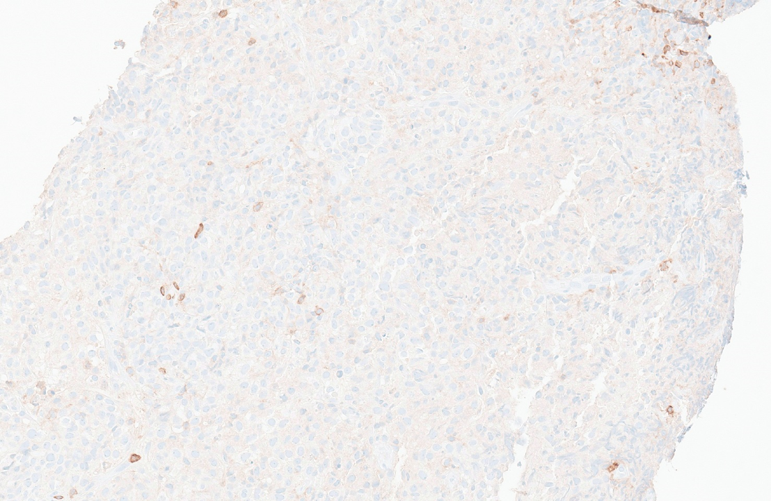 Figure 8